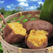 水林鄉台農57號冰心蜜糖烤番薯(地瓜) (1000g±10%/包)-喬大海鮮屋