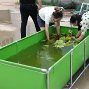 帶支架帆布魚池加厚養殖水池戶外游泳池防水布蓄水池家用養魚池