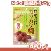 日本 Natori 酸甜脆梅 22g 5入 10入 下酒菜 零食 解膩 零食 梅子 酸梅 梅乾 梅肉【小福部屋】