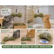 節草牧草夾｜籠掛式牧草固定夾（兔子・龍貓專用）