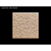 《磁磚本舖》歲末出清 膚色車道磚 10X10公分 厚1.1公分 250片 庫存出清售完為止