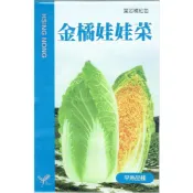 (店+)【天橙種子】金橘娃娃菜種子 迷你翠玉白菜 約3公克 葉菜類種子 興農種苗 家庭園藝 彩色原包裝