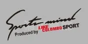 【湘阪車飾】SYM光陽 LIKE COLOMBO 機車 摩托車 燈眉貼 大燈貼 車身貼JET/4MICA/金發財