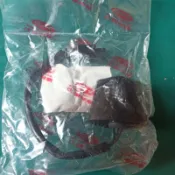 PGO摩特動力 Xhot 牌照燈 原廠 xhot150 xhot125 叉燒 牌照燈 牌照登 尾燈 車牌燈 車牌燈