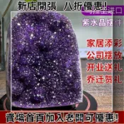 貓與鼠百貨店 高檔水晶擺件黃水晶巴西烏拉圭紫水晶消磁凈化石辦公桌玄關裝飾品 紫水晶 紫晶簇 紫晶鎮 小紫晶洞 聚寶盆 紫水晶簇招財進寶