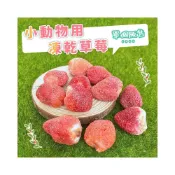 (店+)小動物用凍乾草莓 小動物草莓凍乾 小寵草莓凍乾 小寵零食 鼠兔零食 鼠兔水果乾 倉鼠零食 小動物果乾