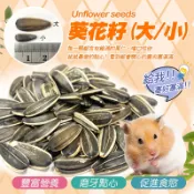 【台灣製】寵物鼠 葵花籽100g 大葵花籽 小葵花籽 鼠點心 鼠飼料 五穀雜糧 黃金鼠 倉鼠 兔子