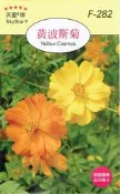【尋花趣】黃波斯菊Yellow Cosmos【花卉種子】天星牌 彩色包裝 原包裝種子 家庭園藝 小包裝種子