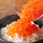 小盒-醬油漬鱒魚卵/紅鮭魚卵(250g/盒)#包裝不指定#小盒-1I7B【魚大俠】FF508
