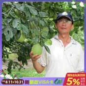 【i郵購】吉品柚園 **(早鳥預購價)麻豆老欉文旦禮盒5斤裝(可i郵箱取貨)【中秋滿心意】(本島免運費)