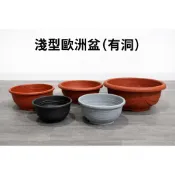 得藝的一天 淺型歐洲盆 有洞｜尺1～2尺1｜塑膠花盆 淺盆｜多肉 盆栽 蔬菜 花卉 陽台種植