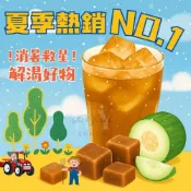 (店+)好蔗黑糖-黑糖冬瓜茶磚 33克/顆 獨立包裝 黑糖磚 隨沖即飲 冬瓜茶磚 消暑解渴 黑糖塊 黑糖 冬瓜茶 黑糖磚