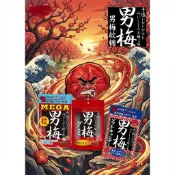 臺北熱賣❤️日本原裝進口零食男梅梅子糖梅味鹹甜味梅片小包新品零食糖果