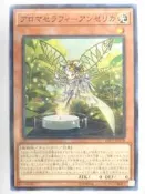 【瑪比卡鋪】現貨 遊戲王 LINK包 LVP1-JP078 芳香熾天使-歐白芷 普卡