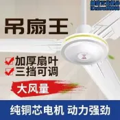 吊扇家用客廳餐廳工業56寸吊式電風扇商用大風力宿舍吸頂扇  露天