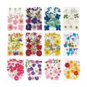 (店+)真花壓花量販版 乾燥花 蠟燭 滴膠 押花 壁畫 DIY水晶滴膠 (書籤 多款可選 植物標本)