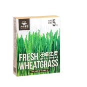 (店+)【汪喵星球】汪喵生菜 貓草 狗草 貓生菜 狗生菜 新鮮小麥草栽種盒 貓草盒 種植貓草 美喵的事