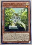 [聖建小舖] INOV-JP031 芳香熾天使-歐白芷 (普卡)
