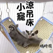 鵡時園🌱小寵涼吊床 鸚鵡藤編涼蓆 適用中小型鸚鵡 天竺鼠 寵物消暑 散熱涼蓆 鳥 睡窩涼蓆 夏季清涼窩 懸掛鳥平台