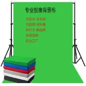 源頭工廠攝影綠幕拍照道具影樓攝像摳像純色綠幕直播摳圖投影幕