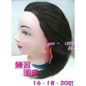可染 可燙  優等髮16吋、18吋 百分百16吋頭皮、染燙效果更好-16吋/20吋假人頭/冠軍頭/比賽頭 頭殼