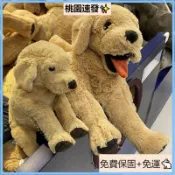 桃園出貨（免運）️IKEA宜家狗狗小狗 毛絨玩偶 古西格格登仿真金毛KIMI衕款大黃狗抱枕 ikea 狗狗