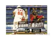 【2009上市】中華職棒19年球員卡 特殊紀錄卡 #225 單場兩隊5支三壘打-興農牛vs.米迪亞暴龍