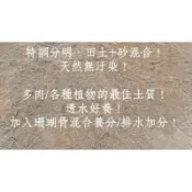 散裝500公克砂土/天然珊瑚礦物砂/土壤/園藝土壤/非培養土/田土/種植/園藝，最棒的選擇！