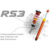 汽車 避震器 全新品 24/14段伸縮側阻尼可調 IASATI RS3底盤 配件 改裝 舒適 含稅