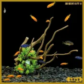 魚缸裝飾造景仿真沉木仿真水草鋪底水族箱擺件杜鵑根套餐假水草可開發票✅瑞福居擺件館✨️臺北出貨✨️