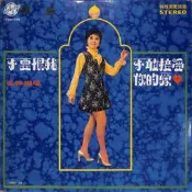 【笛笛唱片】吳靜嫻-不要恨我.不敢接受你的愛*黑膠唱片