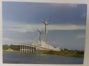 明信片- 空白明信片 自然生態教育中心 彰化郵局
