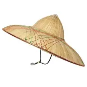 【生活King】越南斗笠/椰子斗笠-尺8(55cm)