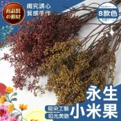 (店+)【織心手作】永生小米果 小米果 手作花束 永生花 手工花 乾燥果實 手作花材 小米尤加利 DIY手做 果實 拍照道具