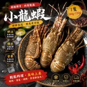 {巧宴老闆}生凍龍蝦(100g-150g±10%/隻)1099免運/中秋烤肉/快速出貨/生凍龍蝦/火鍋/健身/高級海鮮