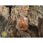 【A07龍婆添】-捨瑪自身牌 三蛙D卡 泰國佛牌 項鍊鑰匙圈 招財避邪擋災聖物