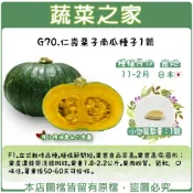 【蔬菜之家】G70.仁壽栗子南瓜種子1顆(F1,立式栽培品種,植株節間短,果實良品率高,果實高扁圓形；果皮濃綠帶