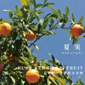 *町美特販* SHIMOYAMA夏実 100%純精油 紅寶石葡萄柚 檸檬 甜橙 佛手柑 香薰