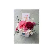 (店+)海藏花苑│母親節花禮。永生康乃馨乾燥花盆花禮。附禮物盒