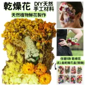 【康是美官方網購】【A-ONE】永生花 永生花 果實 菊花 花束 捧花 乾燥花 不凋花 材料 永生花 花材 C09 秋高氣爽_廠商直送
