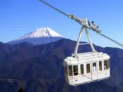 【Lion Travel 雄獅旅遊】限定PLUS東京｜全程無自理餐.敘敘苑.居酒屋.保住2晚國際連鎖飯店.富士山鐵路.身延山.美食雙湯五日 出發地點：台北