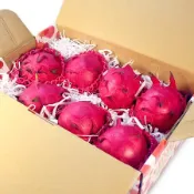 【鮮果日誌】紅肉紅龍果/火龍果(7入禮盒裝)