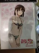 窗簾魂 不起眼 女主角 培育法 加藤惠 泳裝 卡套