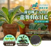 【蔬菜之家】A42-1.龍舞羽衣甘藍種子 4.8g 義大利進口 葉片深綠狹長 生長快速 10天採苗菜 21天食嫩葉 超級