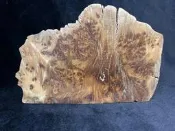 台灣 紅豆杉 老料 樹瘤 根瘤 古樸 原木 藝術 裝飾 檜木 肖楠 花器 盆栽 植物 木頭 水晶 玉 石 茶盤