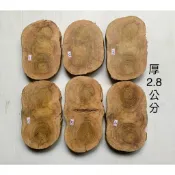 台灣櫸【紅雞油】原木年輪木片/隔熱墊茶壺墊湯鍋墊/藝品盆景奇石陶藝擺設底座/置物架/木質墊片/砧板/地板扶手雕刻裝飾用材