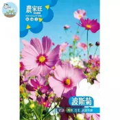 【原廠包裝】波斯菊種子(Cosmos)2克裝  花海必備 四季開花 撒播易活 新手園丁首選 蜜源植物 庭院陽台盆栽