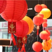8吋紙燈籠 紙質圓形燈籠 派對佈置裝飾 拍照背景道具 婚禮生日佈景 節慶活動佈置必備 春節新年過年 氣氛營造裝飾小物 財