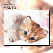 釘好內框🔥Manto【台灣製造】DIY數字油畫｜萌萌貓星人(4050M)