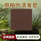 🔥臺灣出貨🔥純天然側柏葉洗髮皂何首烏皂角洗髮水無患子手工皂控油防脫洗頭皂hhfoof